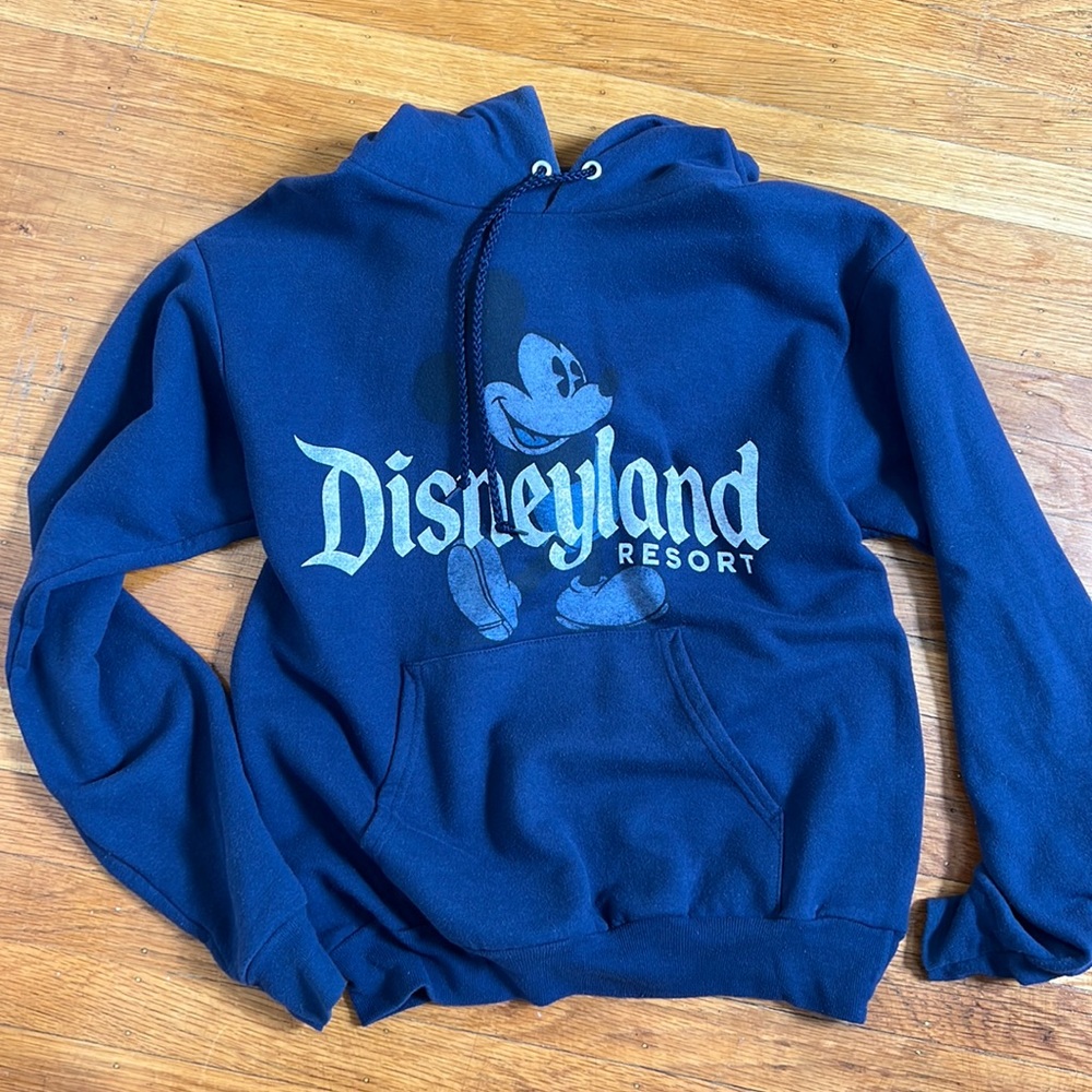 Diensyland hoodie size small
